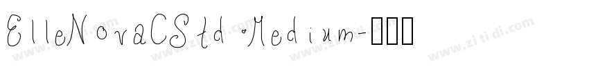 ElleNovaCStd Medium字体转换